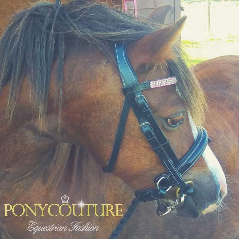 PonyCouture luxury performance pony bridle range coming soon, liver chestnut Welsh section A pony Syfynwy Tegan by Heniarth Quip is the beautiful model for this pony dressage bridle.