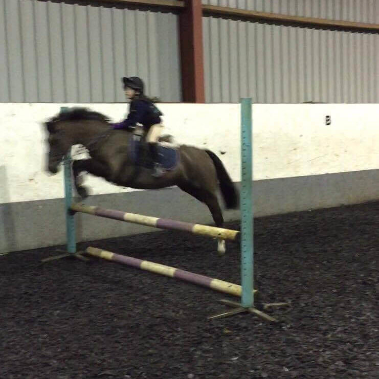 Masie Farnham showjumping on pony Magic and on a black pony inside an indoor arena at Moorhouse EC